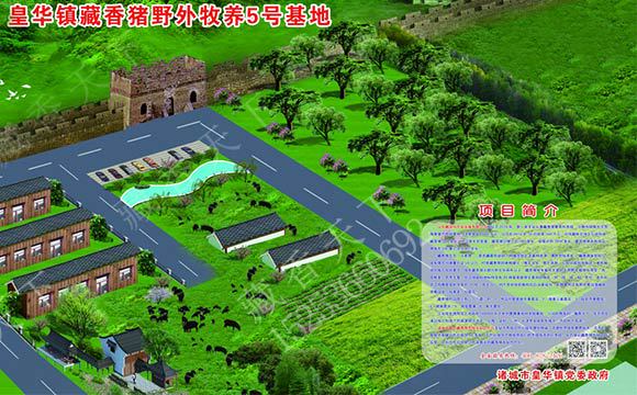 藏香猪养殖基地规划图