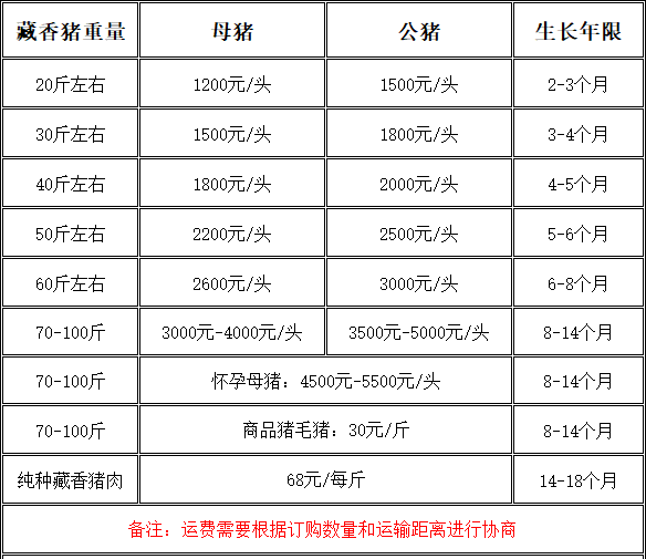 2022纯种藏香猪市场价格一览表