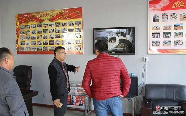 客户在藏香猪合作社观看公司藏香猪宣传视频