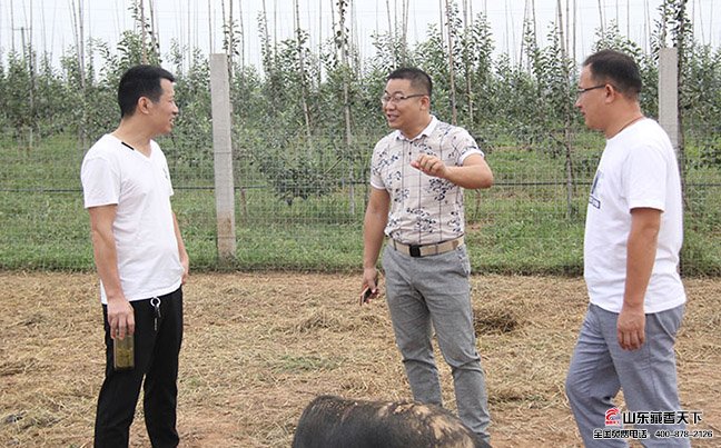 客户一起参观考察藏香猪养殖基地