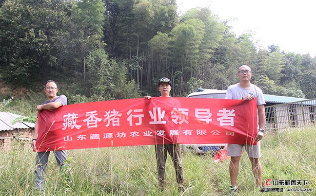 把客户订购的藏香猪顺利送到目的地