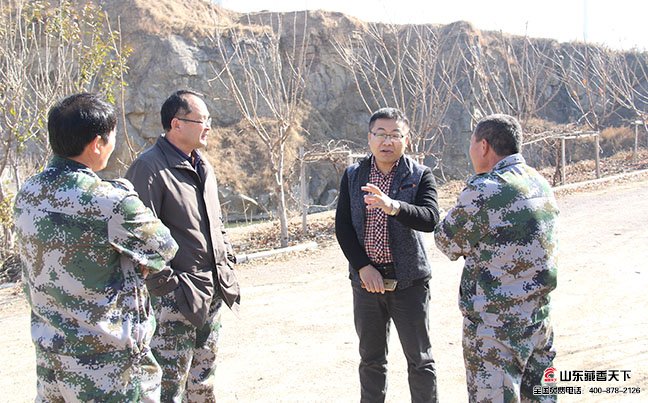 在藏香猪养殖基地互相交流学习养殖经验