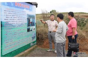 江苏镇江郝总考察订购藏香猪