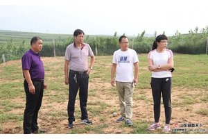 河北邢台客户考察订购藏香猪猪苗